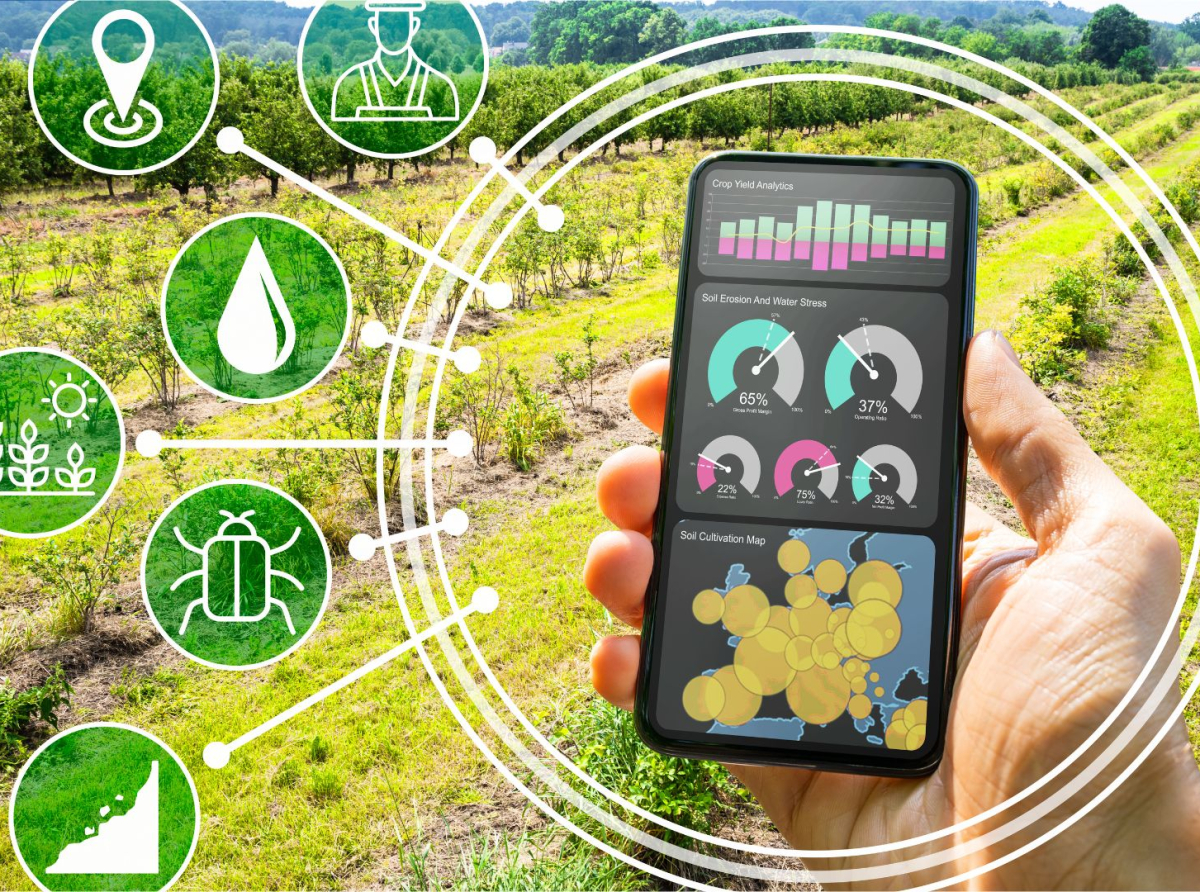IA en el desarrollo de cultivos: el futuro está aquí