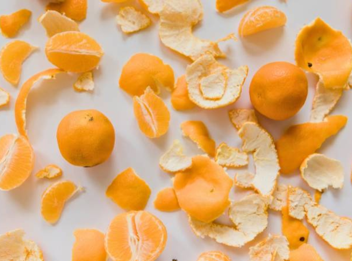 CCRI y VNIT colaboran para desarrollar envases ecológicos a partir de residuos de cáscara de naranja
