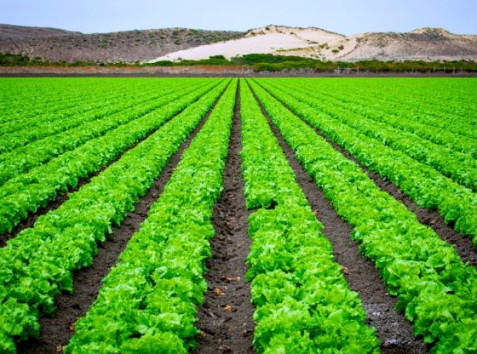 Recursos naturales en peligro: claves para un consumo sostenible en 2025