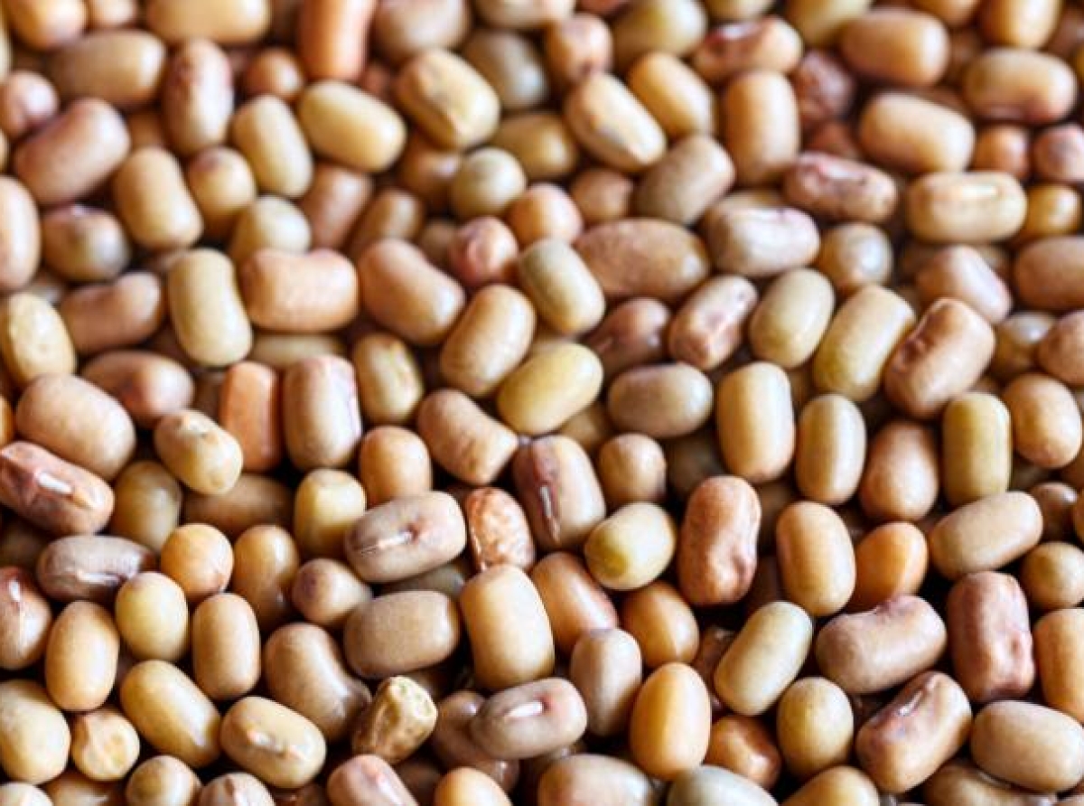 Un brote de Salmonella en varios estados está vinculado a estos frijoles congelados: ¿los tiene en el congelador?