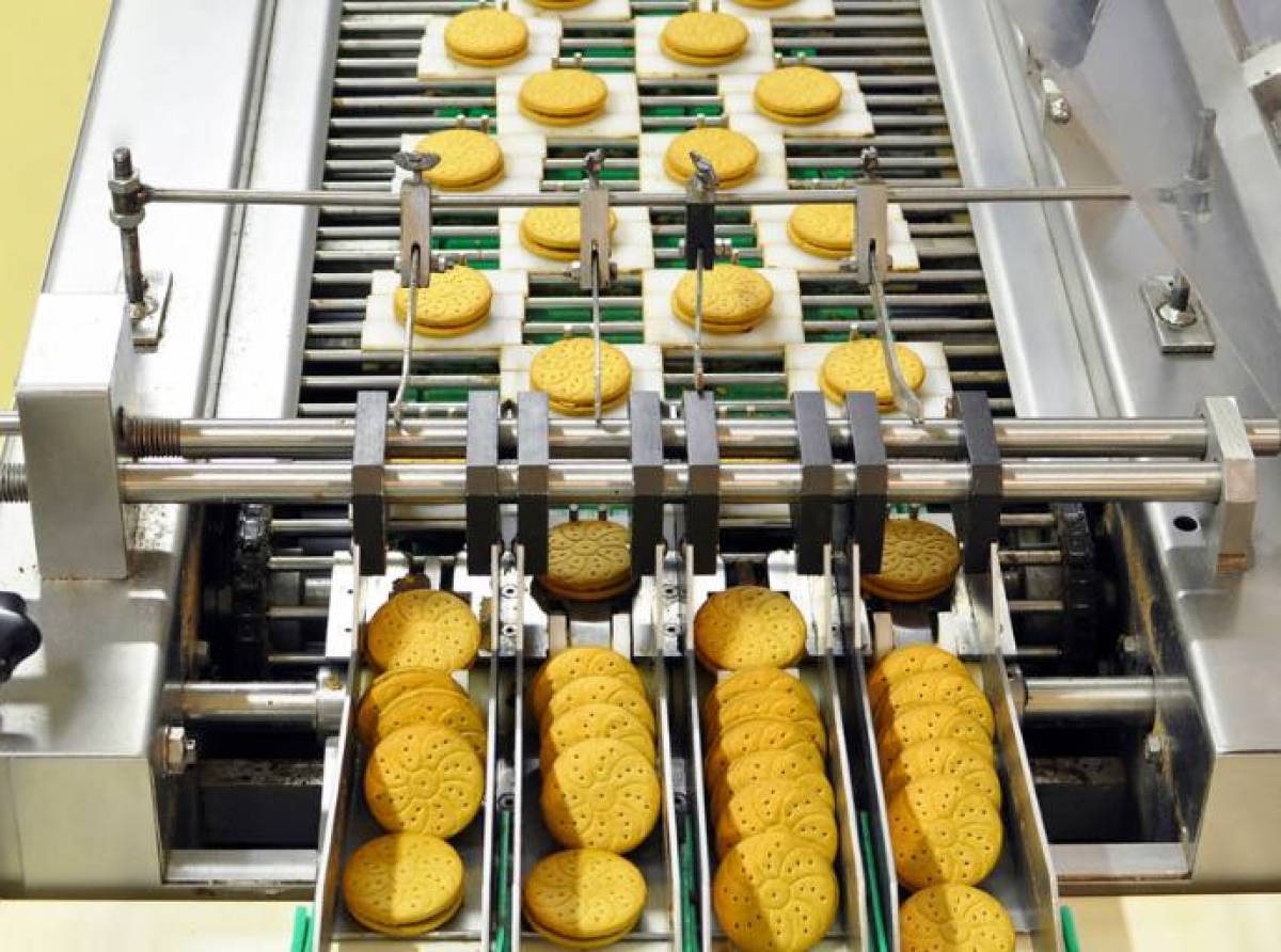 El costo oculto del envejecimiento de los equipos: repensando la confiabilidad y el diseño higiénico en la fabricación de alimentos