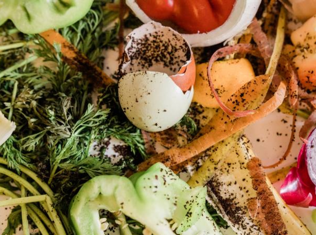 Investigadores convierten los residuos alimentarios en plástico biodegradable en un estudio innovador