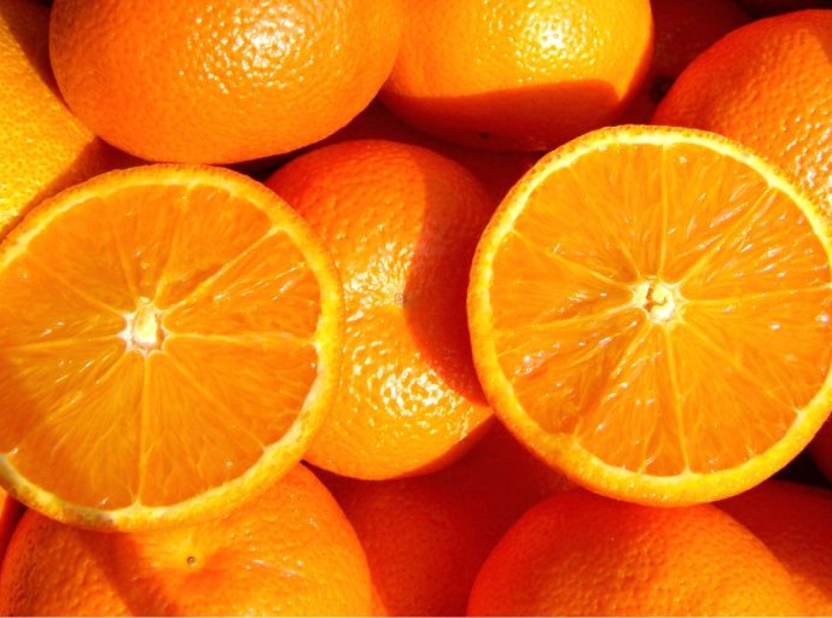 Duas Rodas" innovación centenaria que transforma la industria de alimentos y bebidas en Brasil