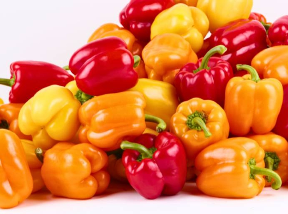 Tras 16 años de negociaciones, el pimiento morrón producido en México llegará a Japón