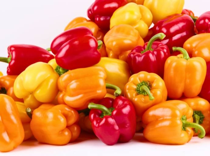 Tras 16 años de negociaciones, el pimiento morrón producido en México llegará a Japón