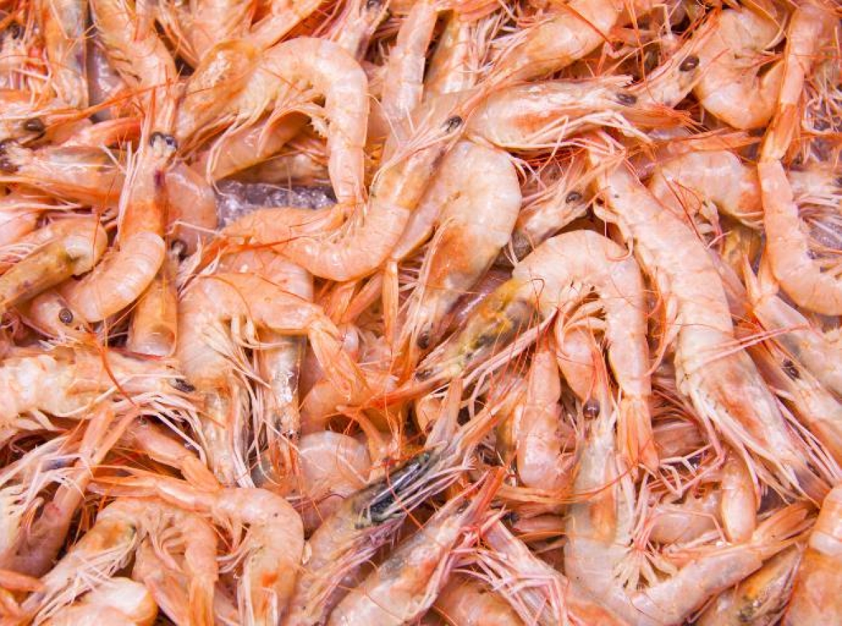 La FDA anuncia el primer uso de su autoridad de certificación de importación para ciertos camarones y especias potencialmente contaminados con cesio-137