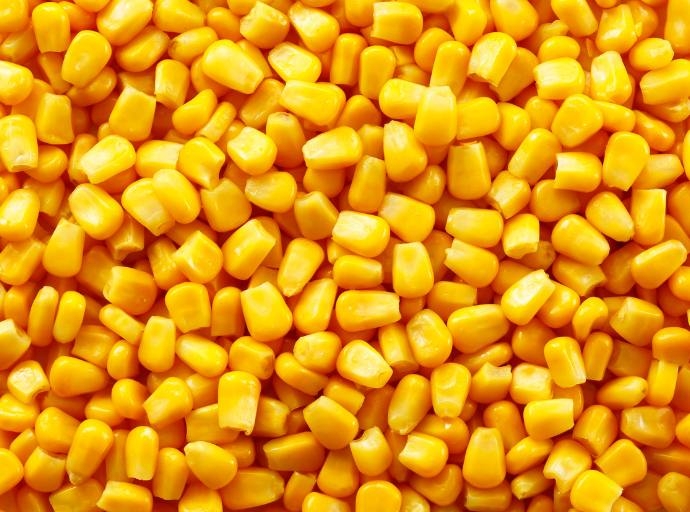 Desmantelamiento de una operación de comida falsa en Ucrania