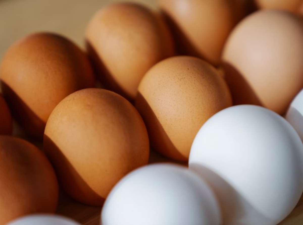 Más de 60 personas enfermas en California tras comer huevos; inician retiro del mercado